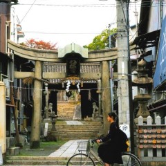 7897f72098c966c816a083070496560d