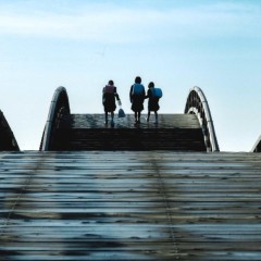 902614d9574e37d547c3757801d50897