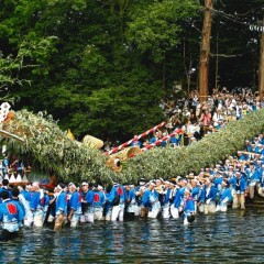 d3de8bd3c05b968950857ebfc000c901