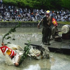 452ce5e48e54932ac0800b16719ad588