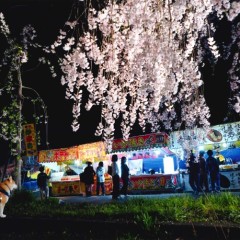 c8ea0d80a6b42ee102fa5d2085e12960