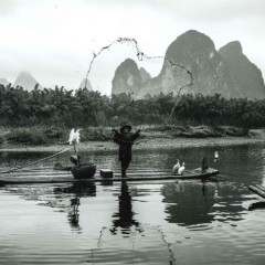 42c47aee1985e3bc4f82bfb448989d3b