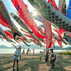 09da807fcbd5e5c6e0c3c35c2fda6277