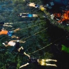 0c6d9b7227cefcf4528e0db1ad17f905