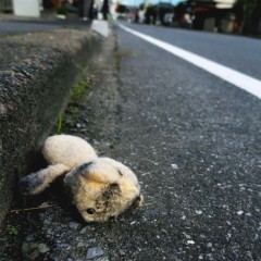 245dd0f4d4b7abe874d24a61f2a1146e