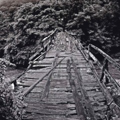 3777366f31a57f388dc7c8061810596a