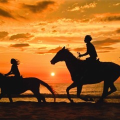 8d4d3810b4a4c26e8eda03de6db2202d