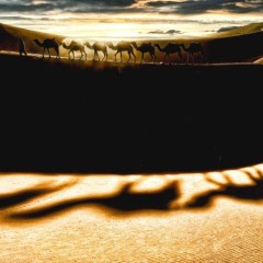 ee090d7339299f824ea80a11854dd0ea