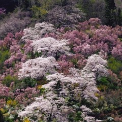 71404b61dc55e0c45b97f1c1bdb2e847