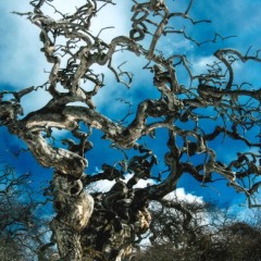 83827a8256c0b90023c19bf3e24fd9e3