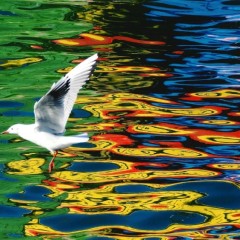 ca8690e9355b77e25b2d54232c8a87b7