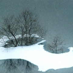 dedae4abbfbddcc70885d83d373b5996