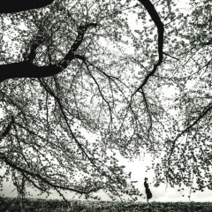 a6fb26949033f79ec16e3e56b6544806