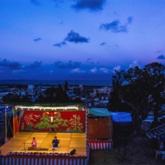 aeacd9521993d06a960c2b47a7caa7a1