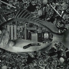 d86670ff3a8615d8c574d83d61833f6e