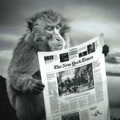 6389c85035fafeaf5f1a3821324abb41