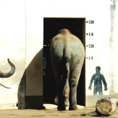 09af7f2f889a56f5a77d6f1c53c4f622