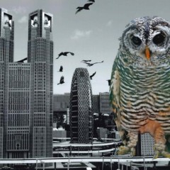 5cc923ce5c5d38ebbe0c827772e23af8