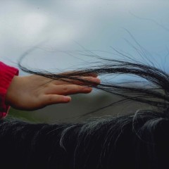 2929d683f2f64f55dbd230edf732bc71