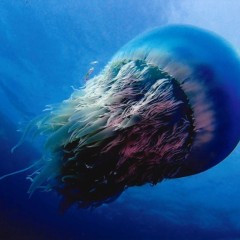 9490e302cda15e464d2abd6eb4504934