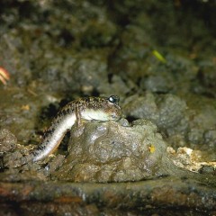 1fb08ed96225dd03d0a9c1fd31fd1a07