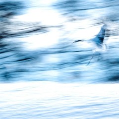 6f8b3bda4d7133f3447750f60d27e4d1