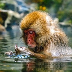 70d64dc702532ebd6bf0f72f45daa7dd