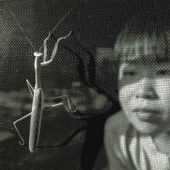 8fd4032c2d49068486dddf80eef69821