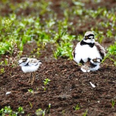 9361358486b54bbf6447a96b67fddb48