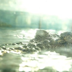 ba70f3edfbfa9e83e35ba339cd025fe2