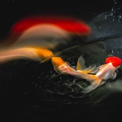 f06a0fdfd9930390ae144d2370490f3a