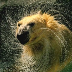 104d0a4b2f06fc6cac3332ae2136dbac