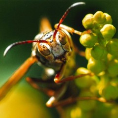 385f76373a6a80b7822adef47b21a957