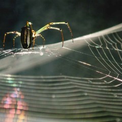 3bef1330d5c20b145966b3b9c1537f8f