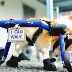 d88355213d0231adbbbe7ad9e719d3b1