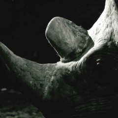 eb2d965b2d24fef719b6ca0650c8f5fd