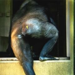 fa78ec098934c95541e596638cab0397