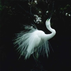 07a1f7b3752cb5a00987526af56b901b