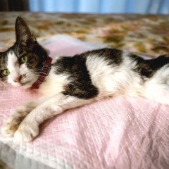 a6725fab4679c4fa15cd4eb573bd07d6