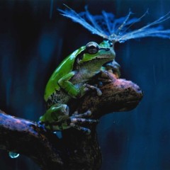 cdd87ae98e0c0a442e563b0ae0f0136d