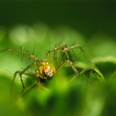 eb6447abd59151289cfef2df395b2588