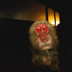 87543b204436b8179dfe32eb18360e29