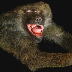 ed6c3750741bff9533e1cc6c7a4b45a9