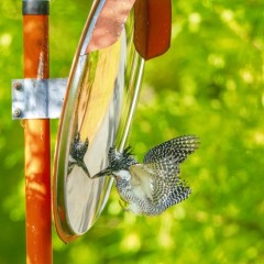 f657fc7208a690b26ee158129d34328e