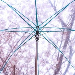 61f7baedf45934d786fd7504da1ddd9c