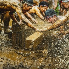 13e401d1ca9db6c39358b498b6045ccf