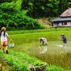 4535e34c7a1697c5a1a9ef4abdec2e0a