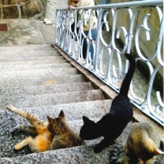 927df81e1b0fe4a1543aeefb43a5a69b