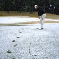 ab68392f70675cdff7e10f1de955c161