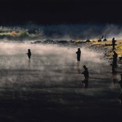 725e0559ffb3bab30ce38b48eb959936